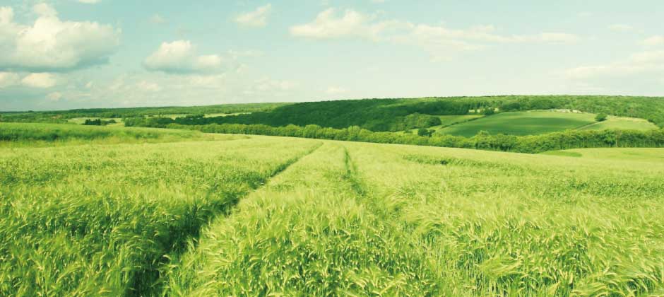 #htmlcaption2 slider