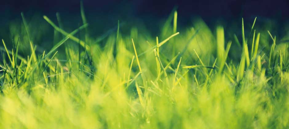 #htmlcaption3 slider